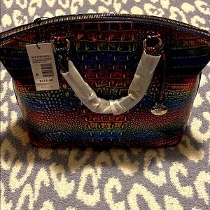 Technicolor Elaine Brahmin